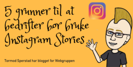 Instagram Stories for Bedrifter